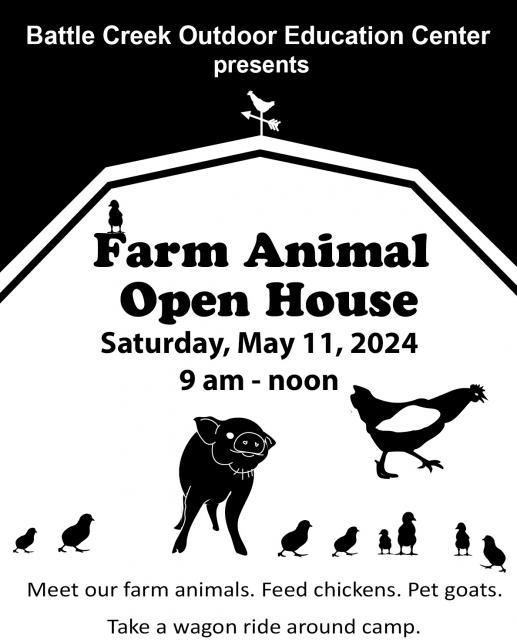 Outdoor Education CenterDowling, MI Clear Lake Camp Battle Creek